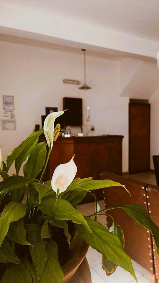 Hostal Tilian Salta Exteriér fotografie